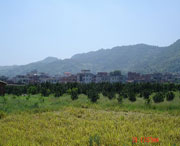 美姑后天天气